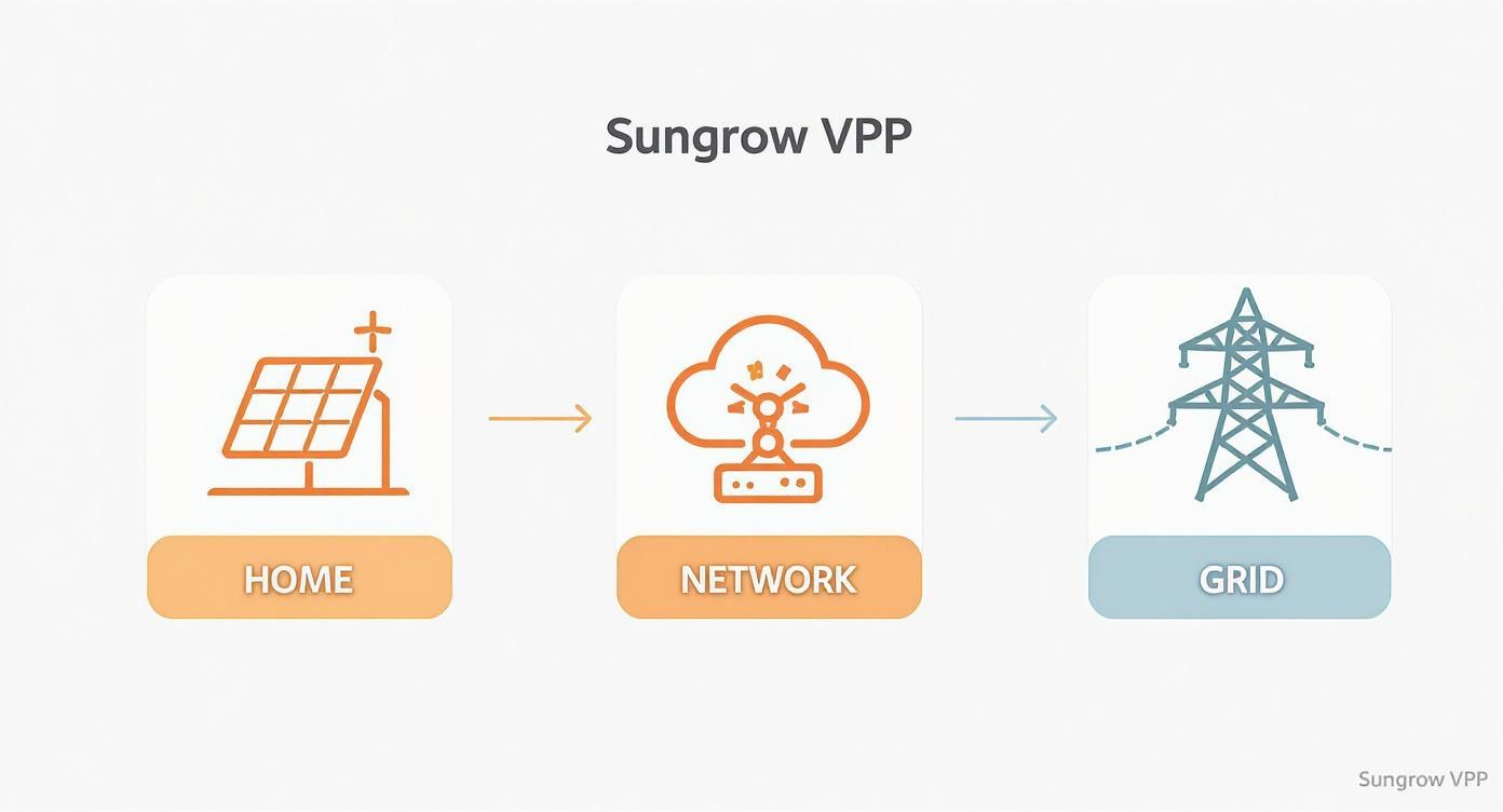 Infographic about sungrow virtual power plant