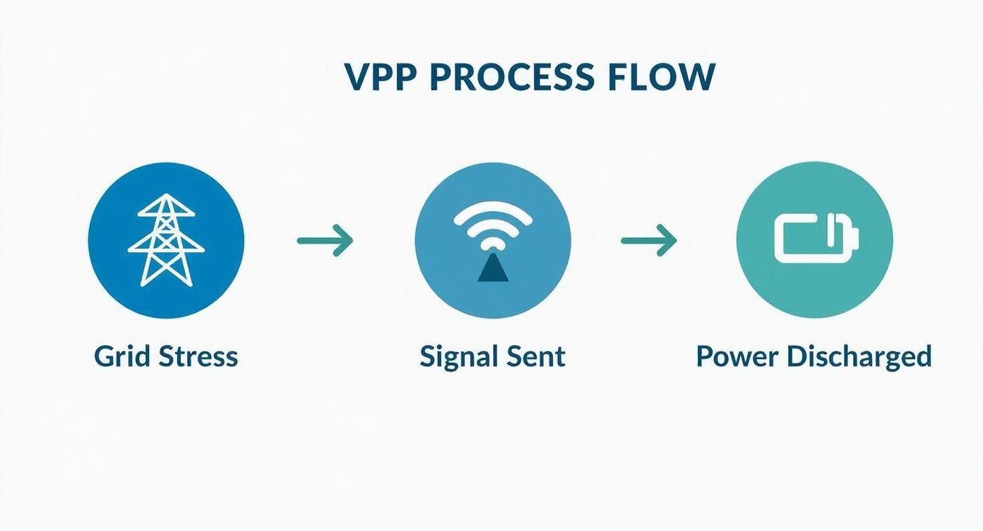 Infographic showing the V-P-P process flow with icons for Grid Stress, Signal Sent, and Power Discharged.