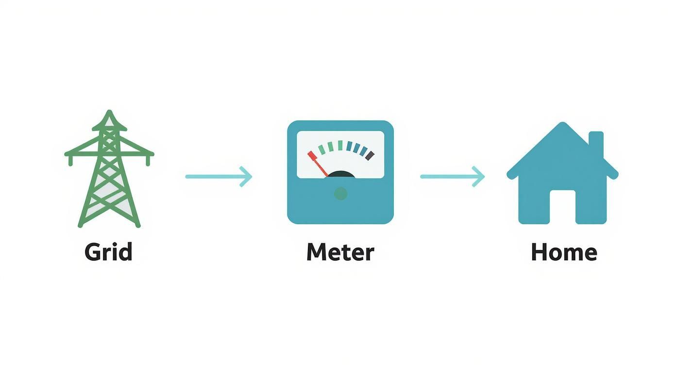 Infographic about electricity usage meter