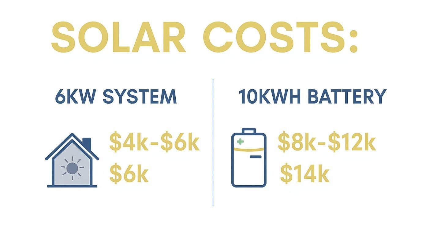 Infographic about solar panel and battery cost