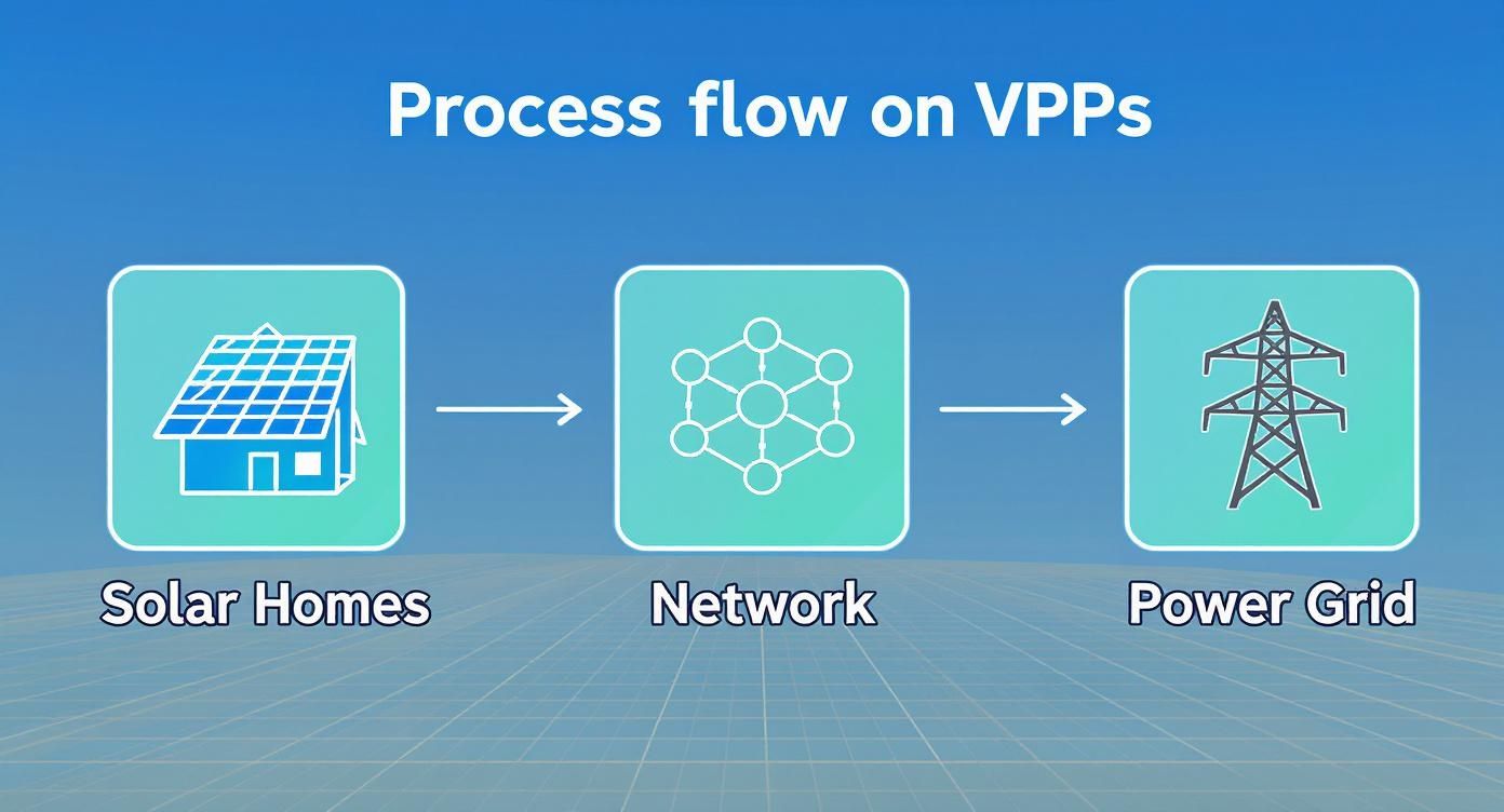 Infographic about virtual power plant australia