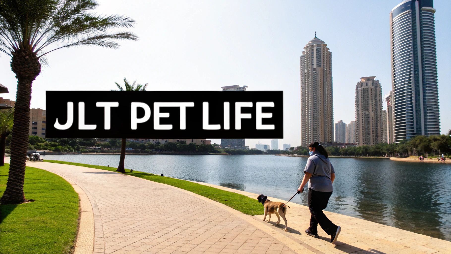 A dog happily walking on a leash next to the lakes in Jumeirah Lake Towers