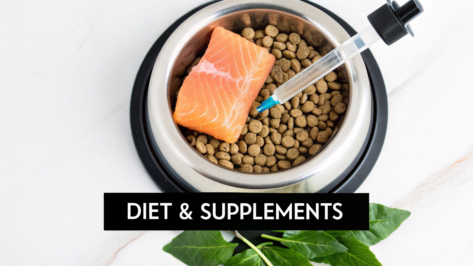 A person's hand adding a supplement to a bowl of pet food