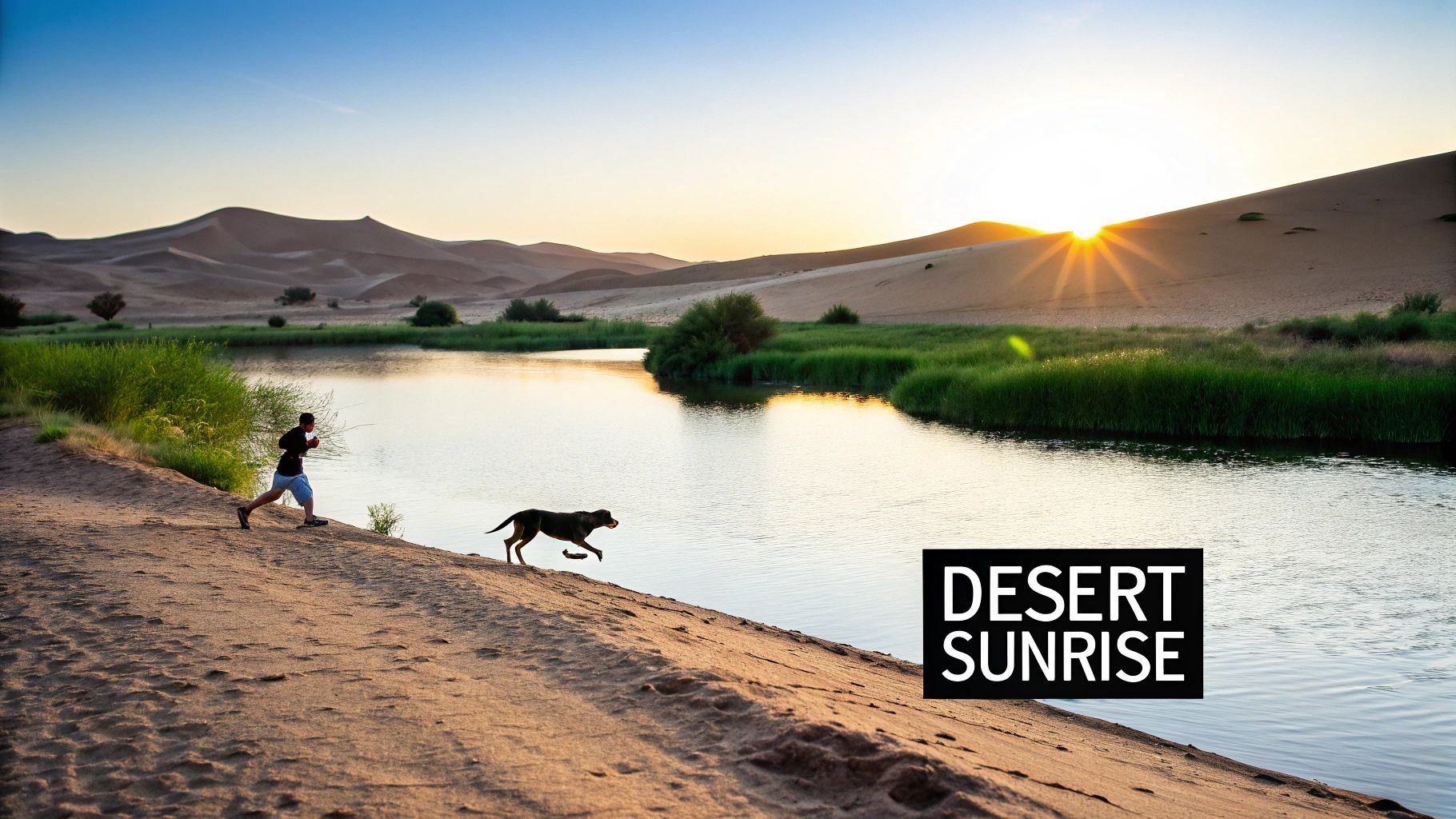 Al Qudra Lakes Desert Sunrise Safari with Dogs