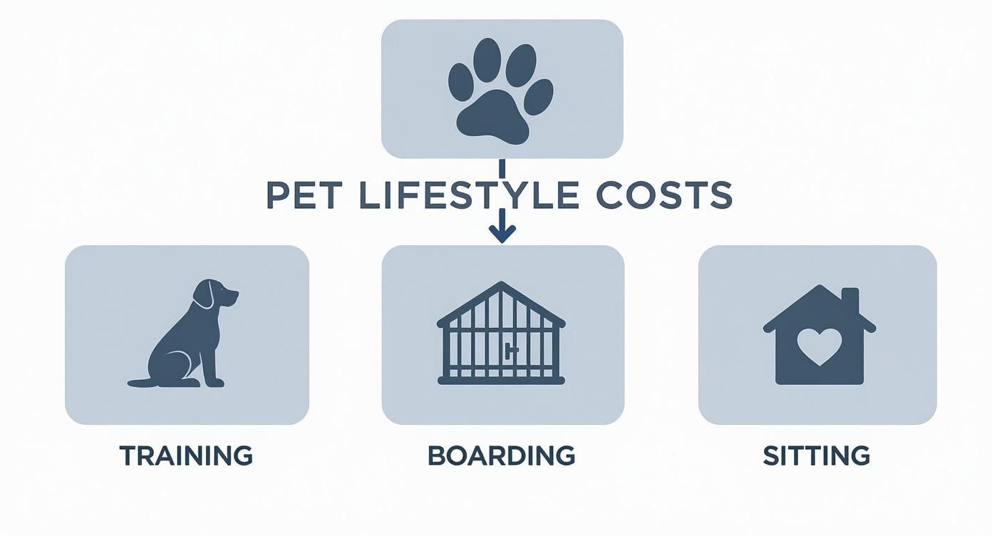 Pet lifestyle costs infographic showing three categories: training, boarding, and sitting services for pet owners
