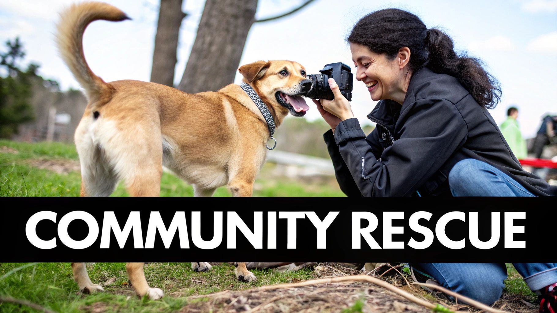 Animals and Us Fujairah - Cross-Emirate Rescue Network