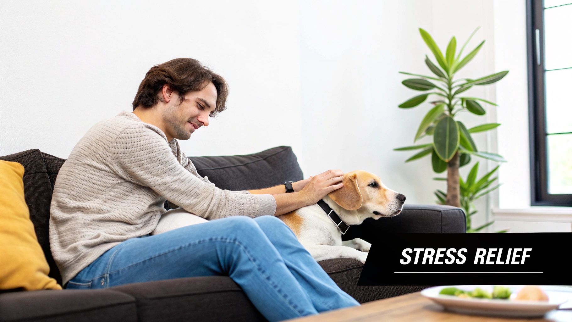 A person petting a calm dog at home
