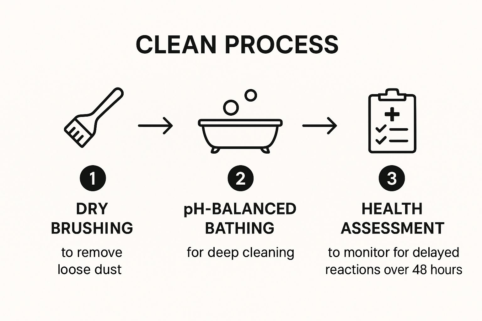Infographic showing key data about Post-Storm Decontamination and Health Assessment Protocol