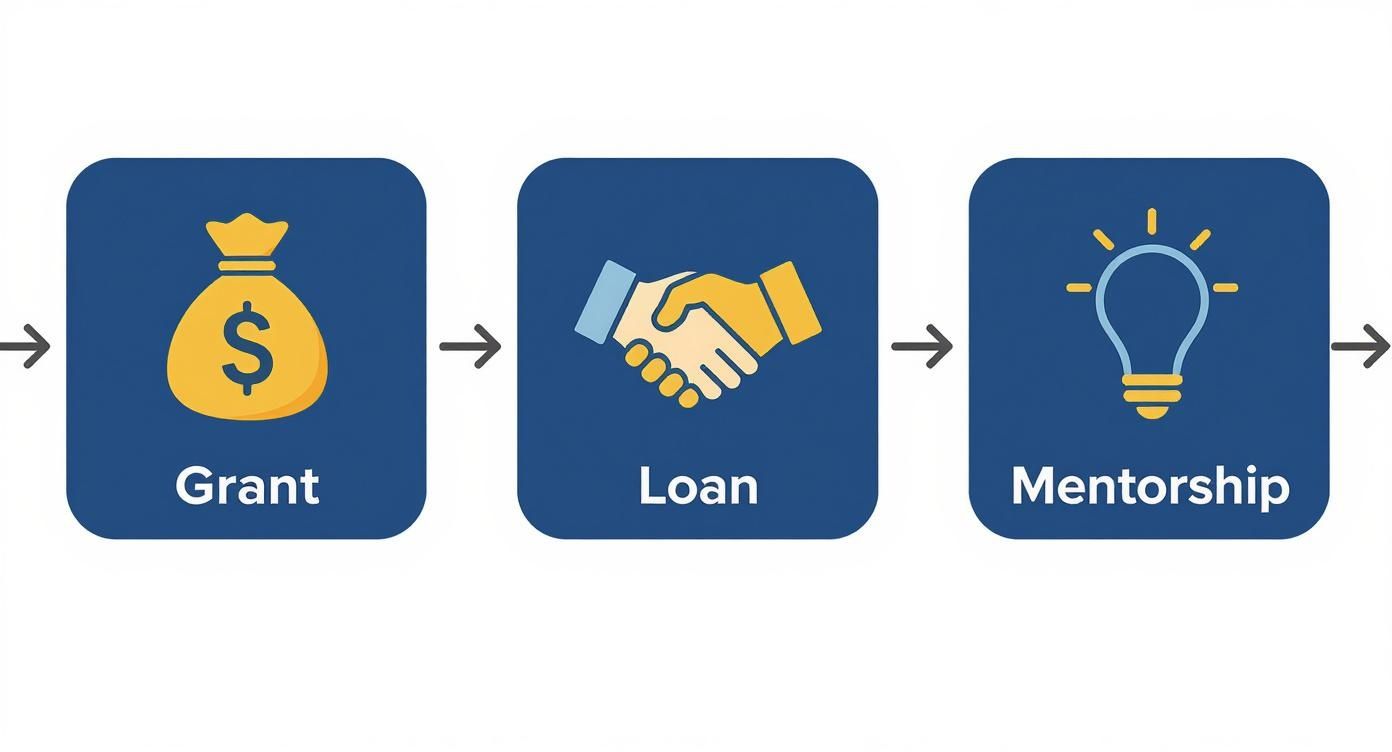 Business funding options showing grant, loan, and mentorship progression with icons on blue background