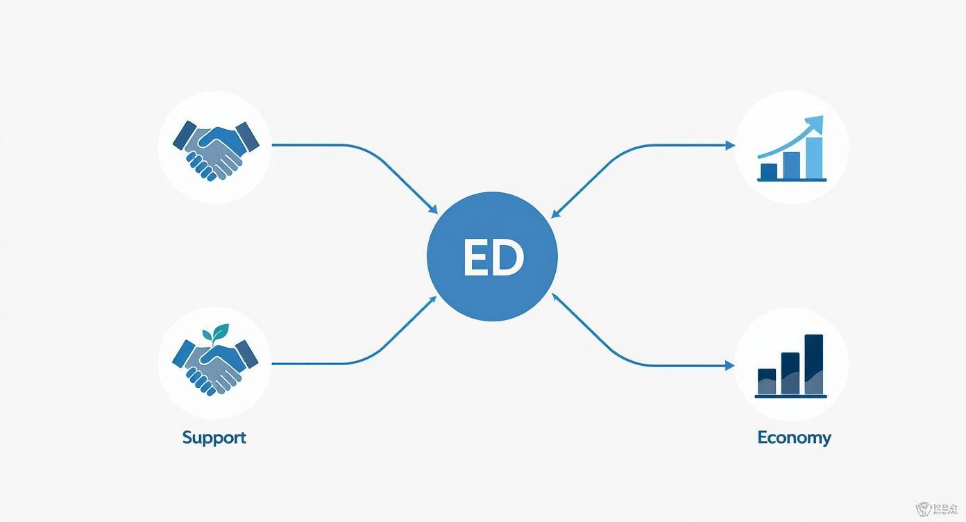 Infographic about bbbee enterprise development