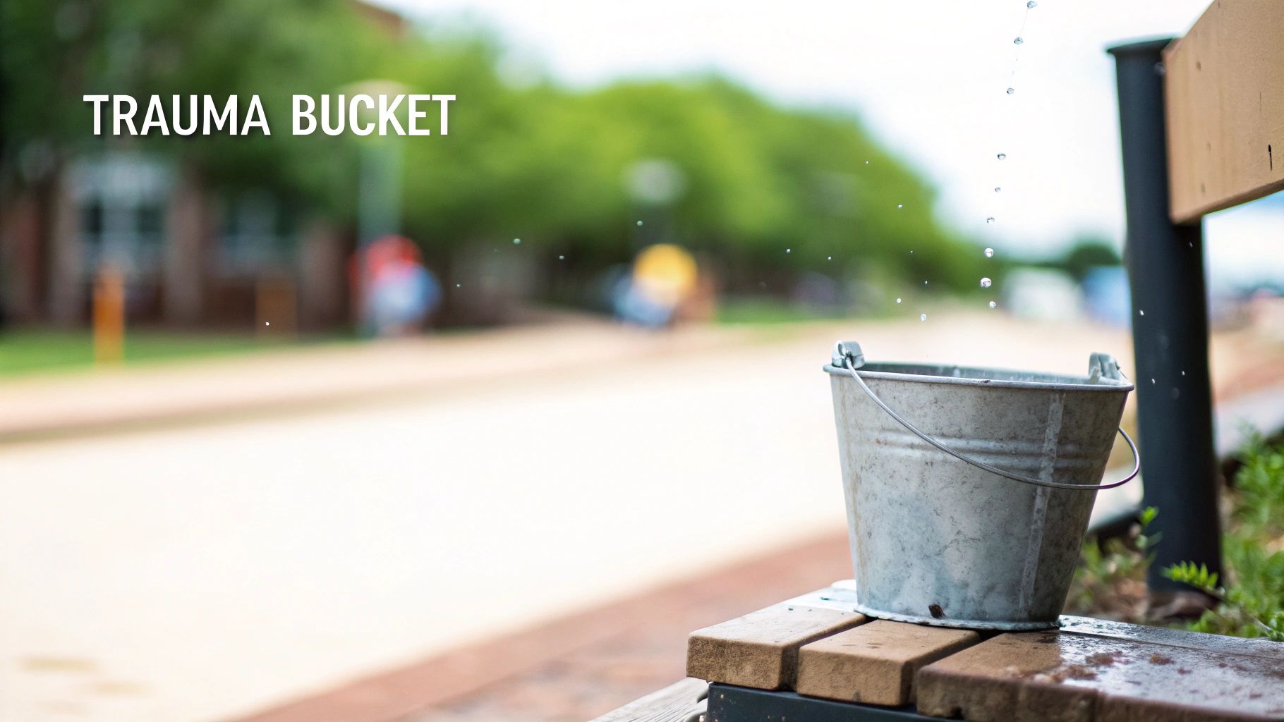 A small metal bucket catches falling water droplets, with 