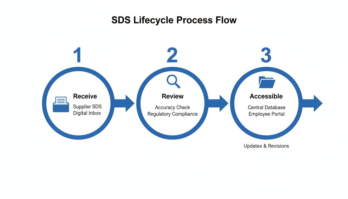 Diagram illustrating the three-step SDS lifecycle process flow: Receive, Review, and Accessible.