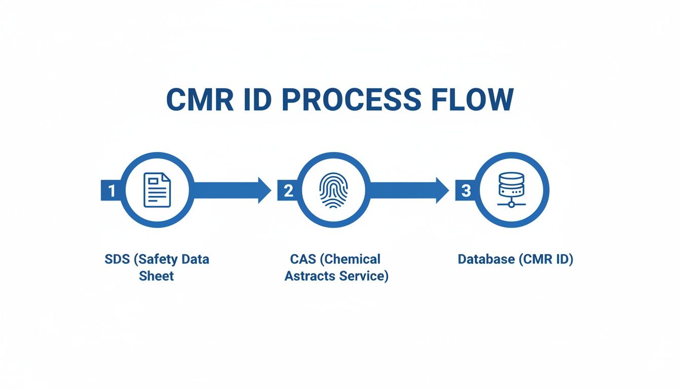 CMR ID process flow showing steps: Safety Data Sheet, Chemical Abstracts Service, and Database.