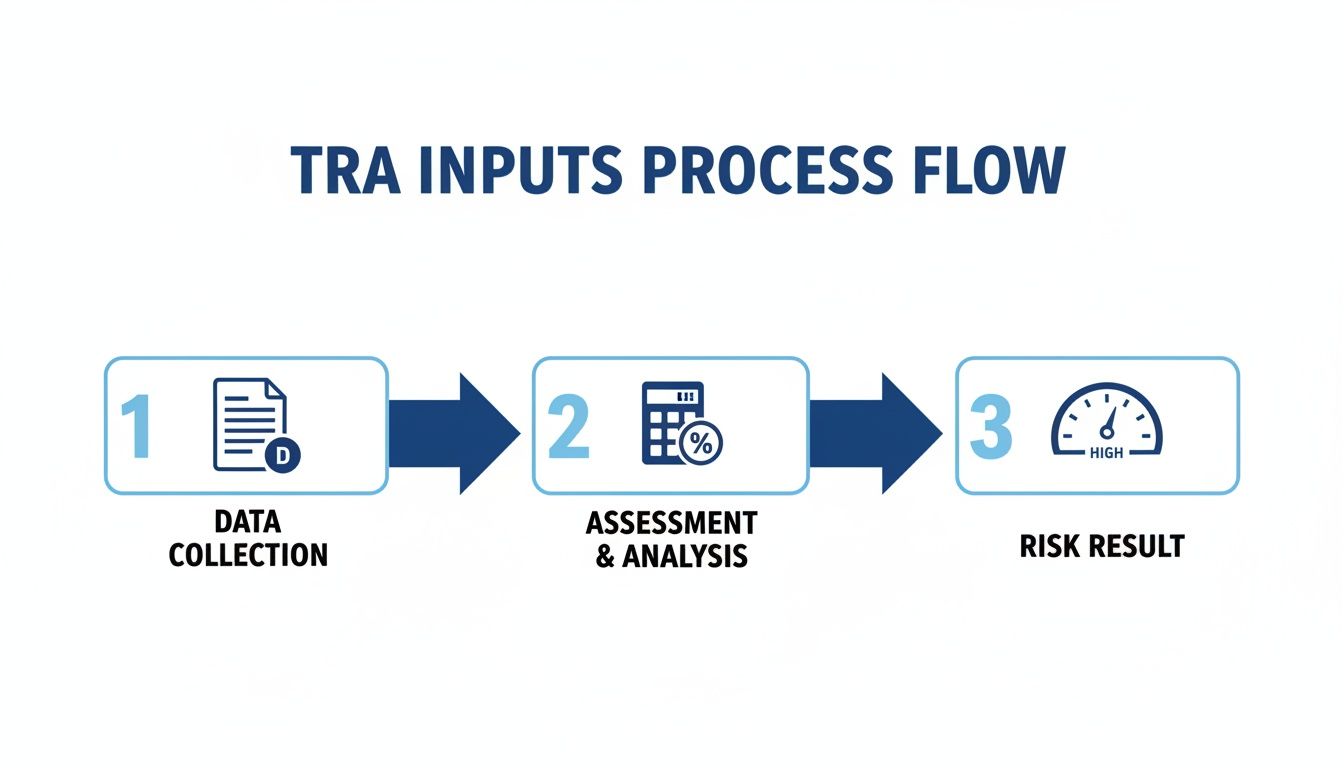 Process flow for TRA inputs, detailing steps from data collection to assessment, analysis, and risk results.