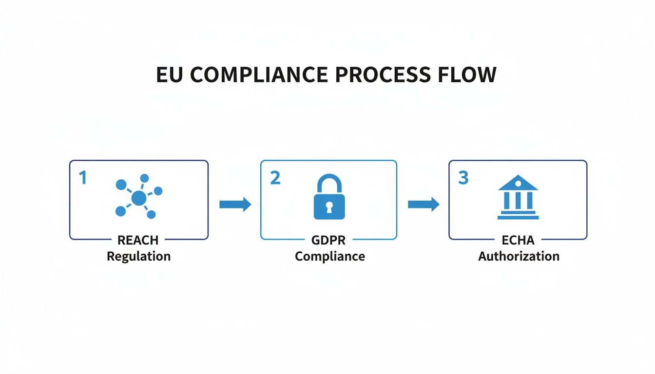 A Guide to MSDS Management Software for Safety Compliance