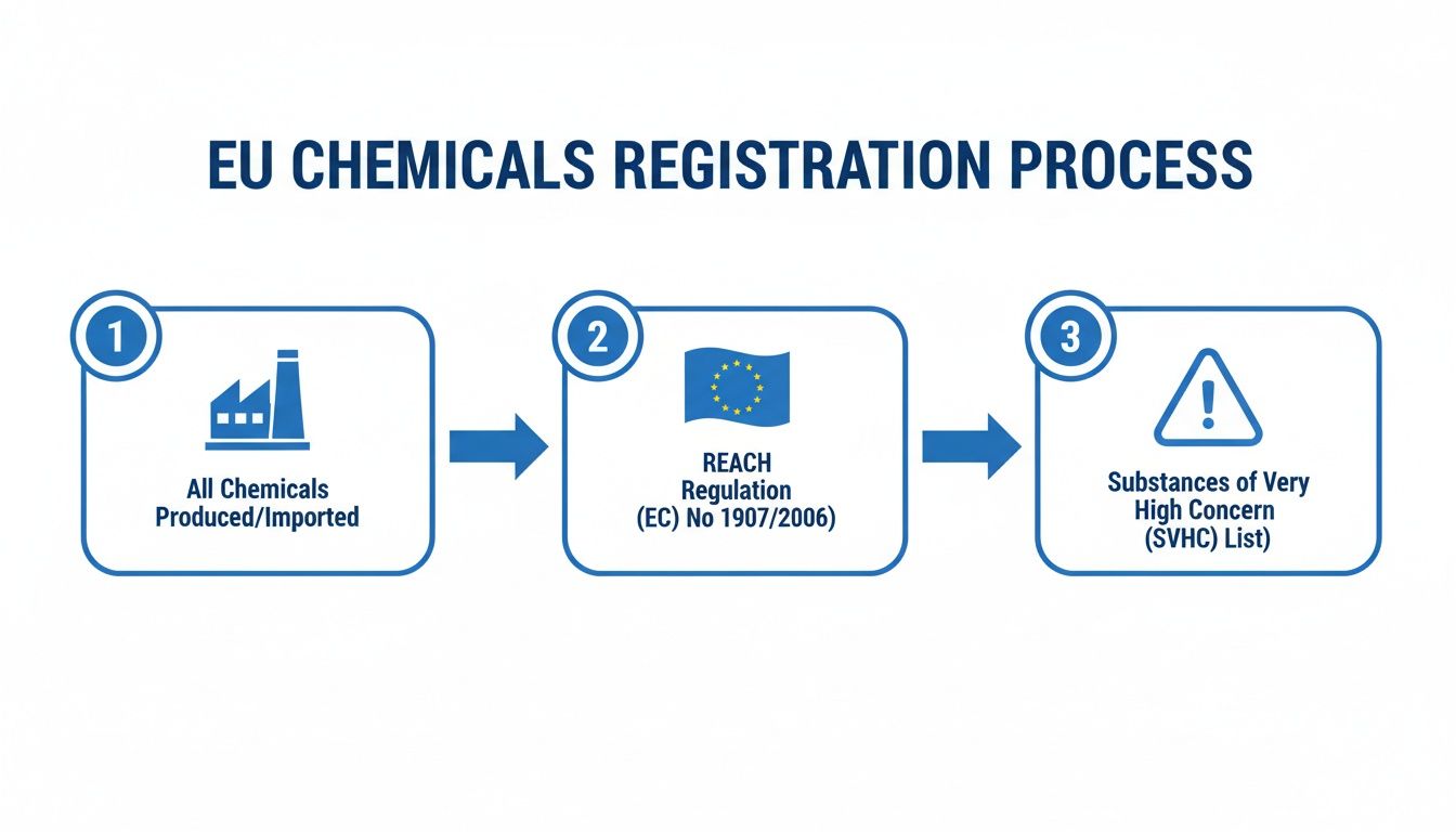 Diagram illustrating the EU Chemicals Registration Process steps: All Chemicals, REACH Regulation, and SVHC List.