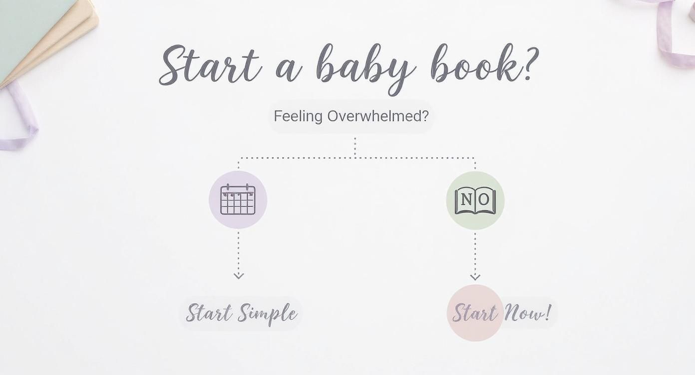 Infographic about first year of baby book