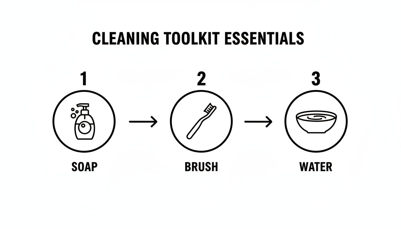 Cleaning toolkit essentials displayed with icons for soap, brush, and water, showing a sequential process.