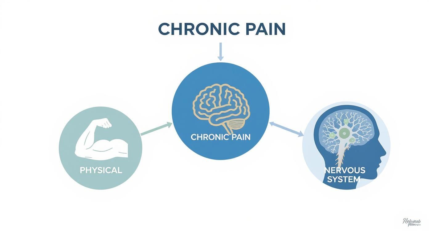 Diagram illustrating chronic pain as a central condition influenced by physical factors and the nervous system.