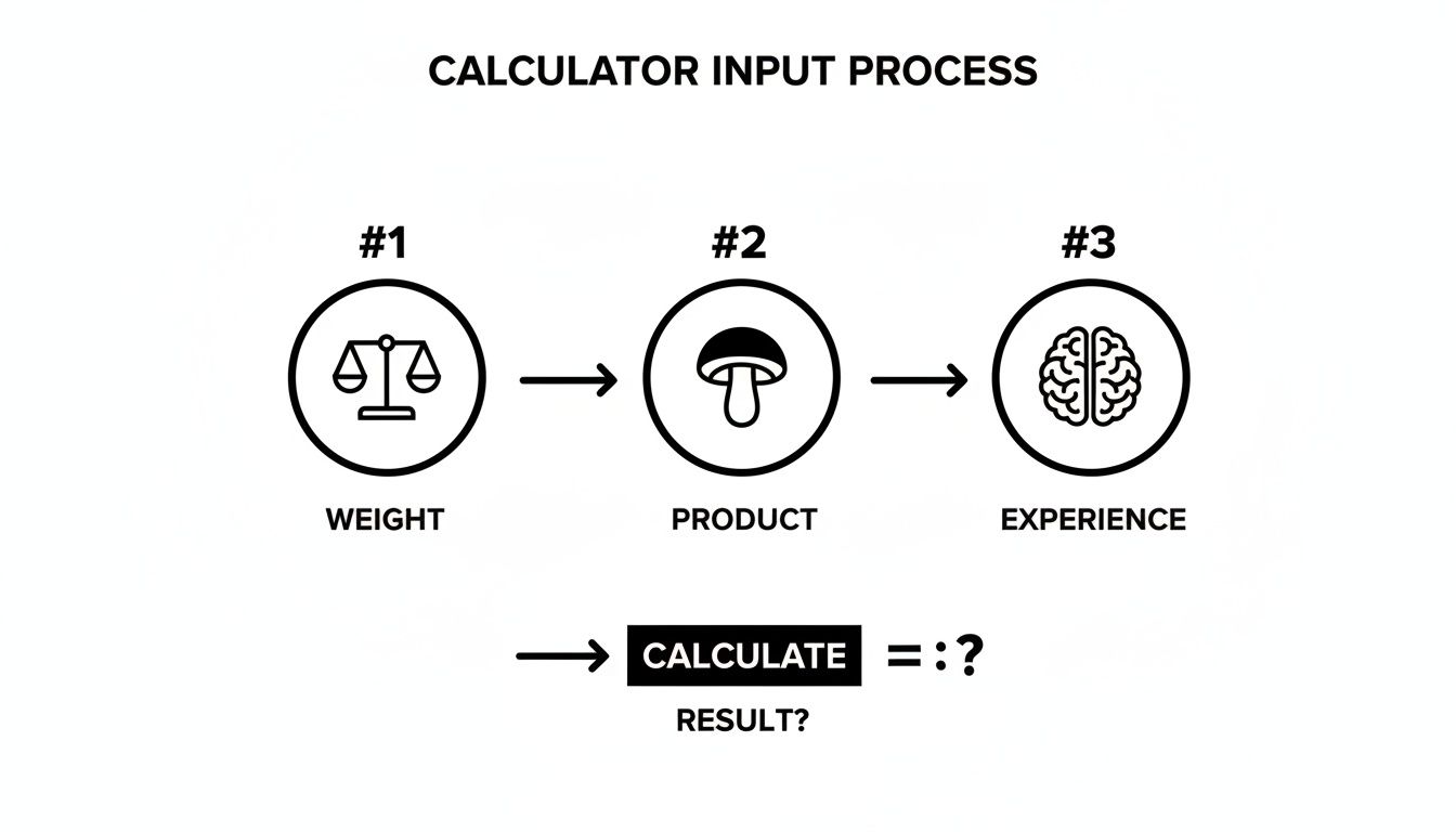 Diagram illustrating a calculator input process with steps for weight, product (mushroom icon), and experience (brain icon), leading to a calculation result.