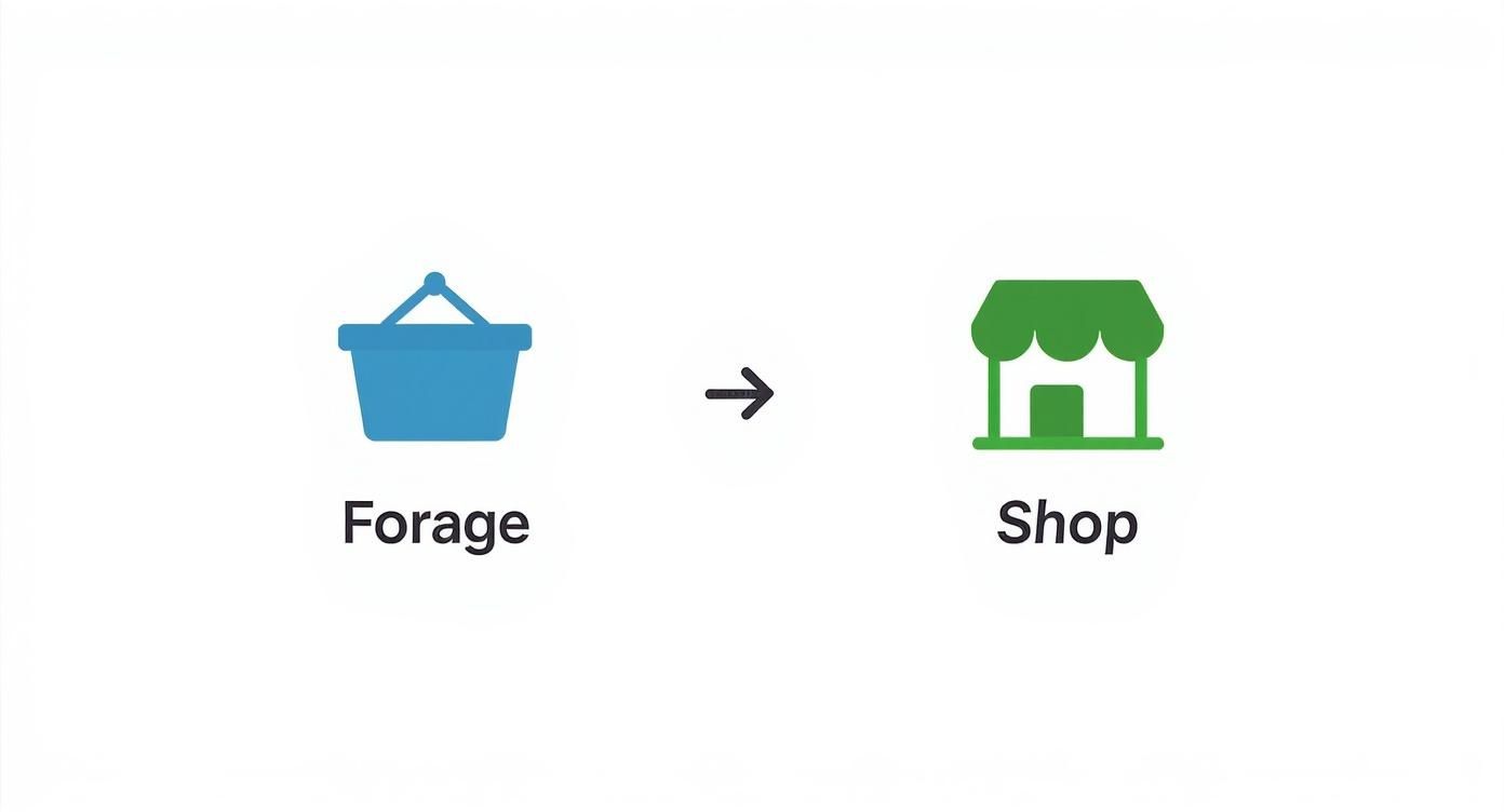 Illustration showing foraging basket icon with arrow pointing to shop storefront icon representing mushroom purchasing options