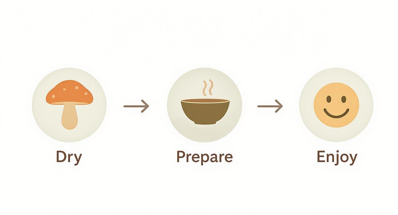 A three-step diagram showing a dry mushroom, then hot soup, then a happy face.