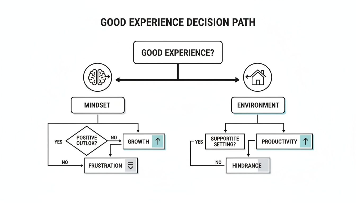 A flowchart showing a good experience decision path, detailing how mindset and environment impact outcomes.
