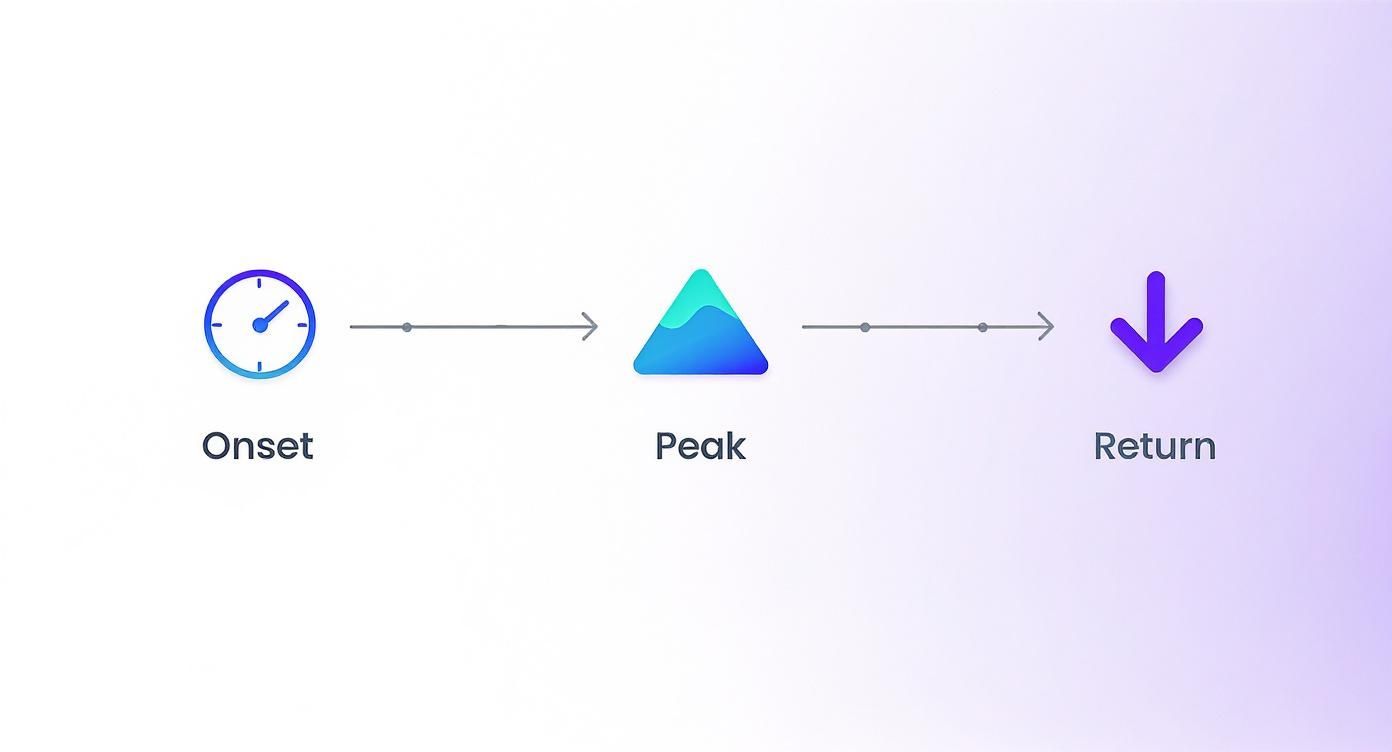 A visual diagram illustrating three stages of a process: Onset, Peak, and Return, with corresponding icons.