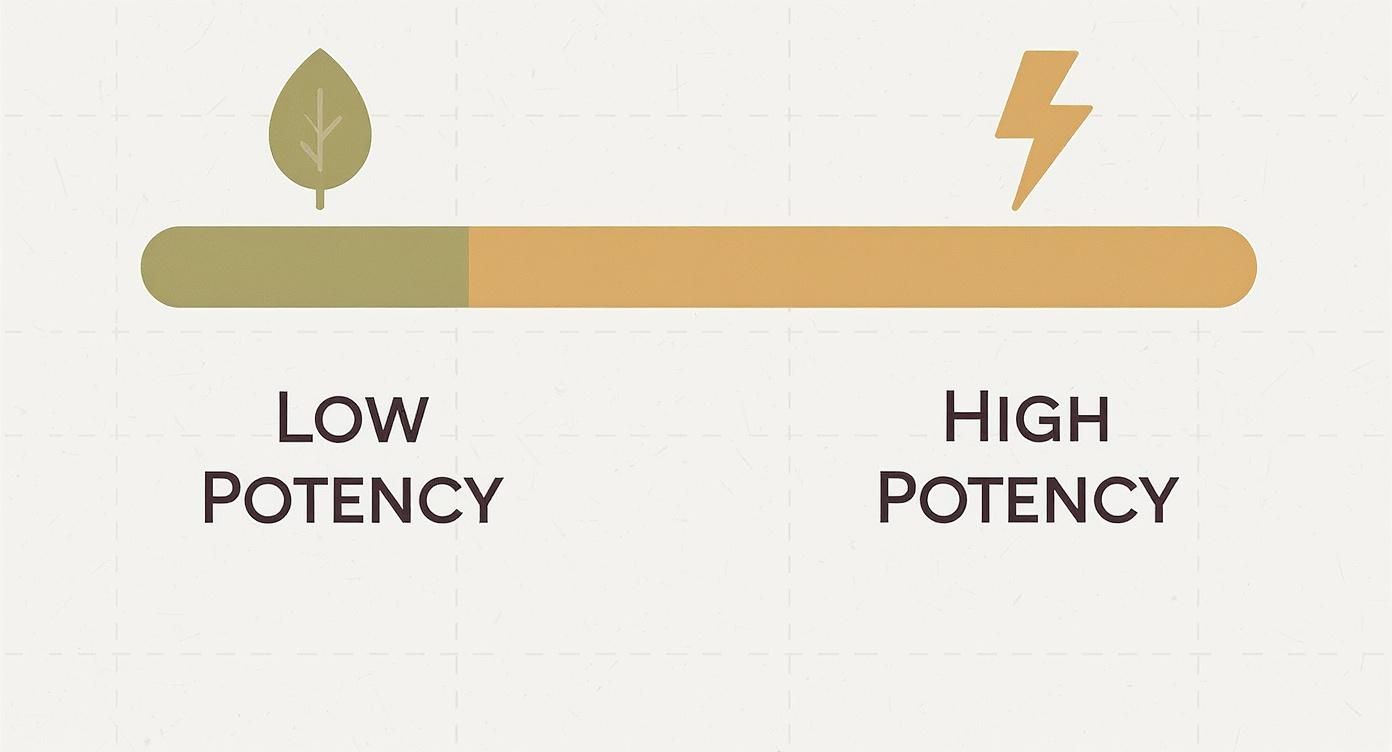 A horizontal slider bar illustrating a spectrum from low potency, marked by a leaf icon, to high potency, indicated by a lightning bolt icon.