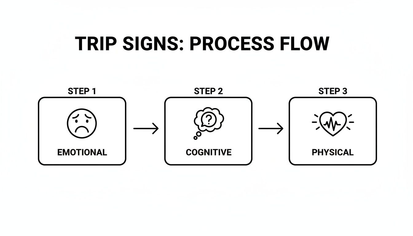 A process flow diagram titled 'Trip Signs' showing emotional, cognitive, and physical stages.