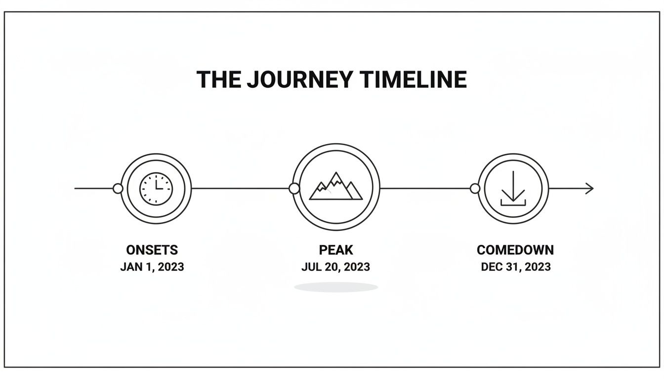 A journey timeline showing three stages: Onsets (Jan 1, 2023), Peak (Jul 20, 2023), and Comedown (Dec 31, 2023).