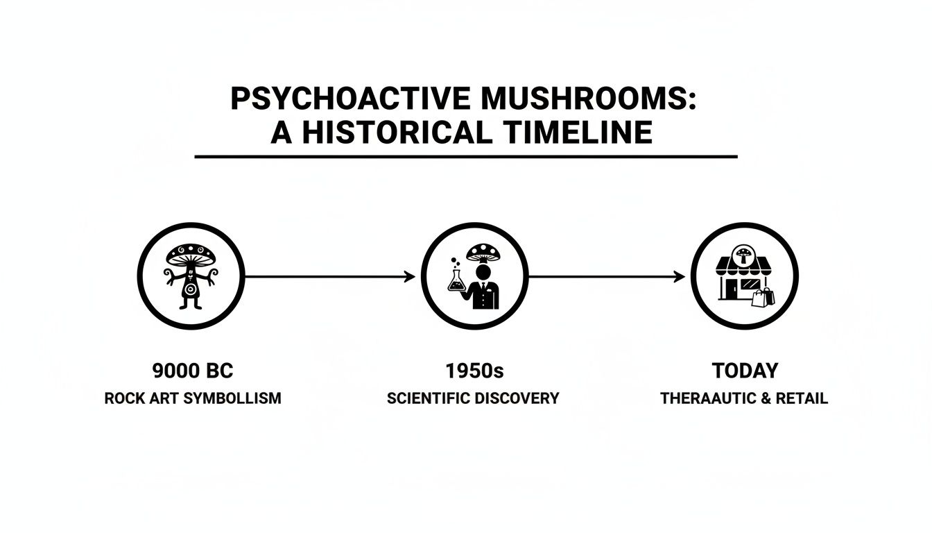 A historical timeline of psychoactive mushrooms, from ancient rock art to modern therapeutic and retail uses.