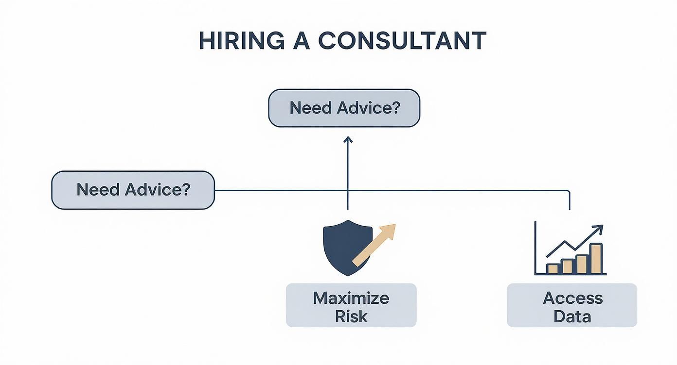 Flowchart showing hiring a consultant process with two main paths: maximize risk and access data