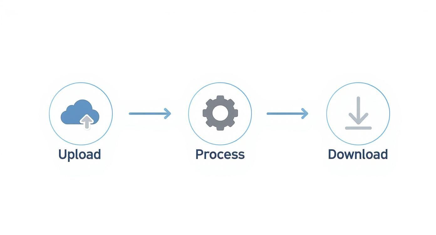 Infographic about how to transcribe audio to text showing the workflow from upload to export