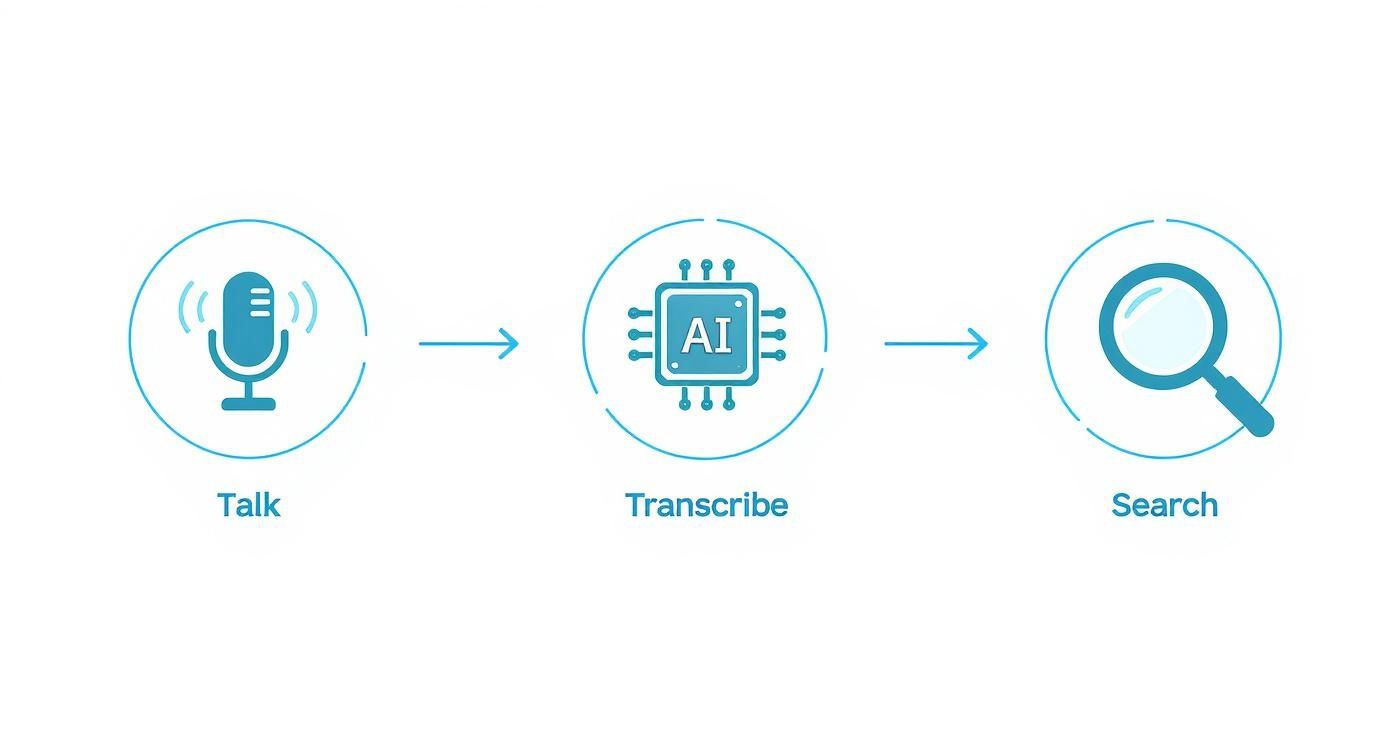 Infographic about meeting transcription software