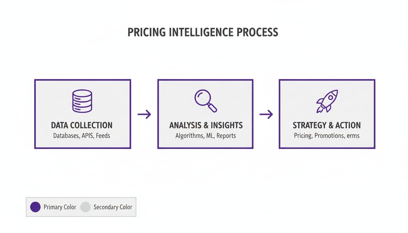 A flowchart illustrating the pricing intelligence process: data collection, analysis & insights, and strategy & action.