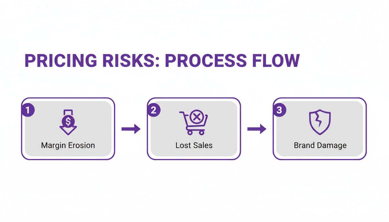 A process flow diagram illustrating three pricing risks: margin erosion, lost sales, and brand damage.