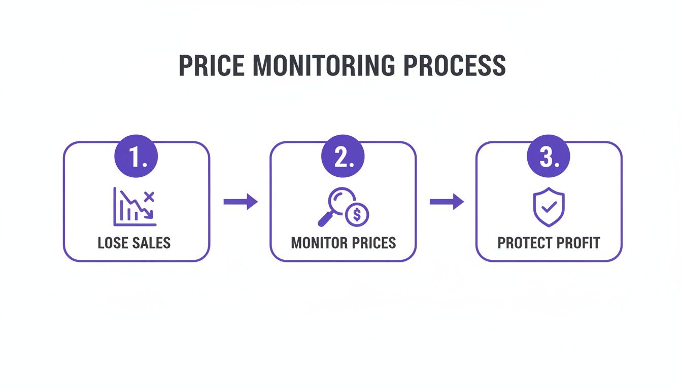 A three-step diagram illustrates the price monitoring process: losing sales, monitoring prices, and protecting profit.