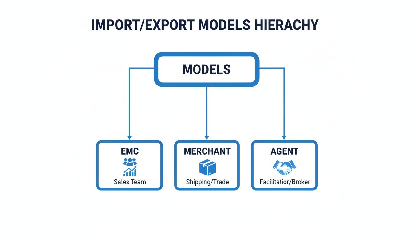 A hierarchy chart illustrating import/export business models: EMC (Sales Team), Merchant (Shipping/Trade), and Agent (Facilitator/Broker).
