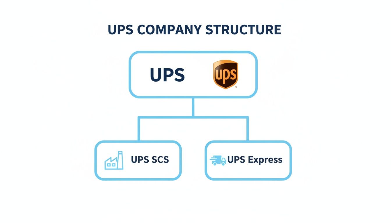 Diagram showing the UPS company structure, with UPS at the top, branching into UPS SCS and UPS Express.