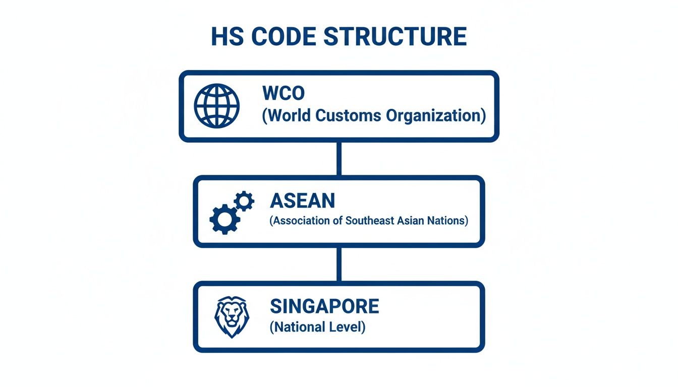 Hierarchical structure of HS Codes showing WCO, ASEAN, and Singapore national levels.