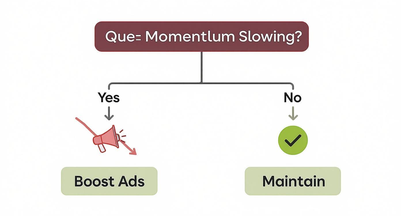 A decision tree chart asking 'Momentum Slowing?'. If yes, 'Boost Ads'; if no, 'Maintain'.