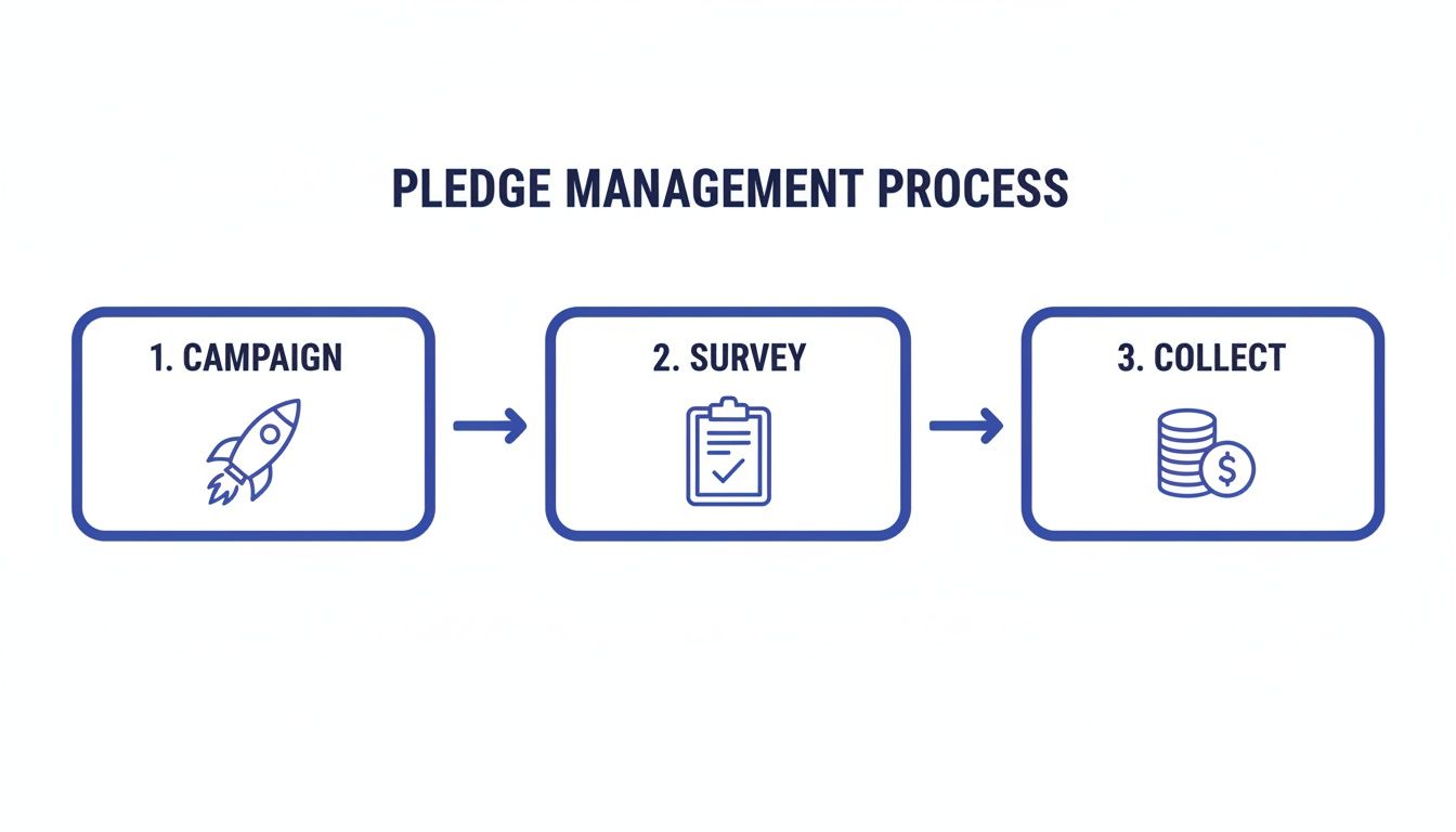 A three-step diagram illustrating the pledge management process: campaign, survey, and collect.