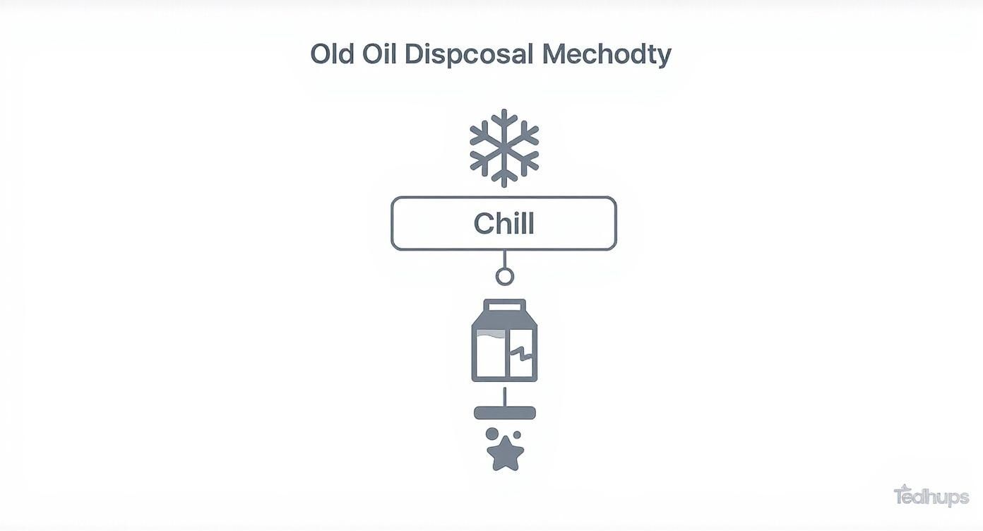 Infographic about how to dispose of vegetable oil after frying