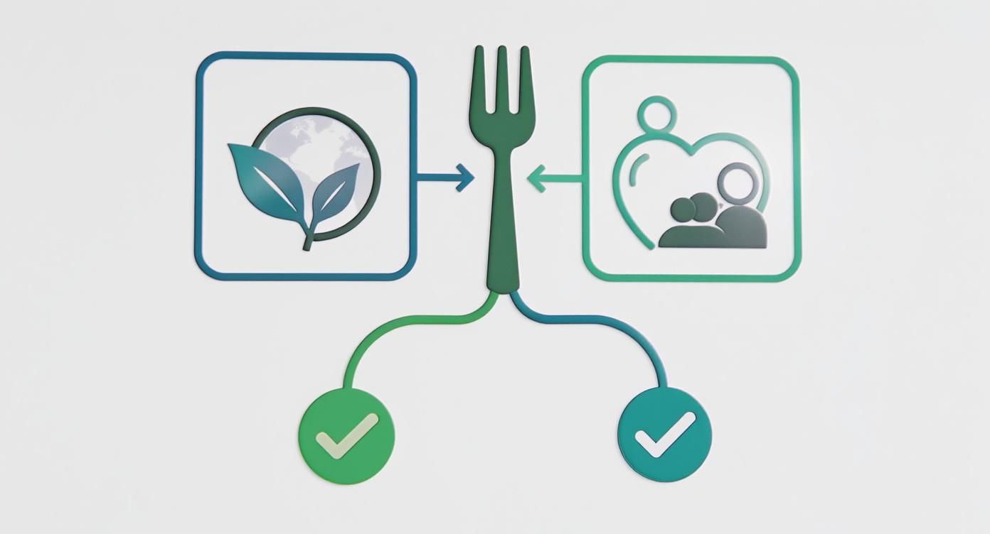 Sustainable food system diagram connecting environment, consumers, and local producers with checkmarks