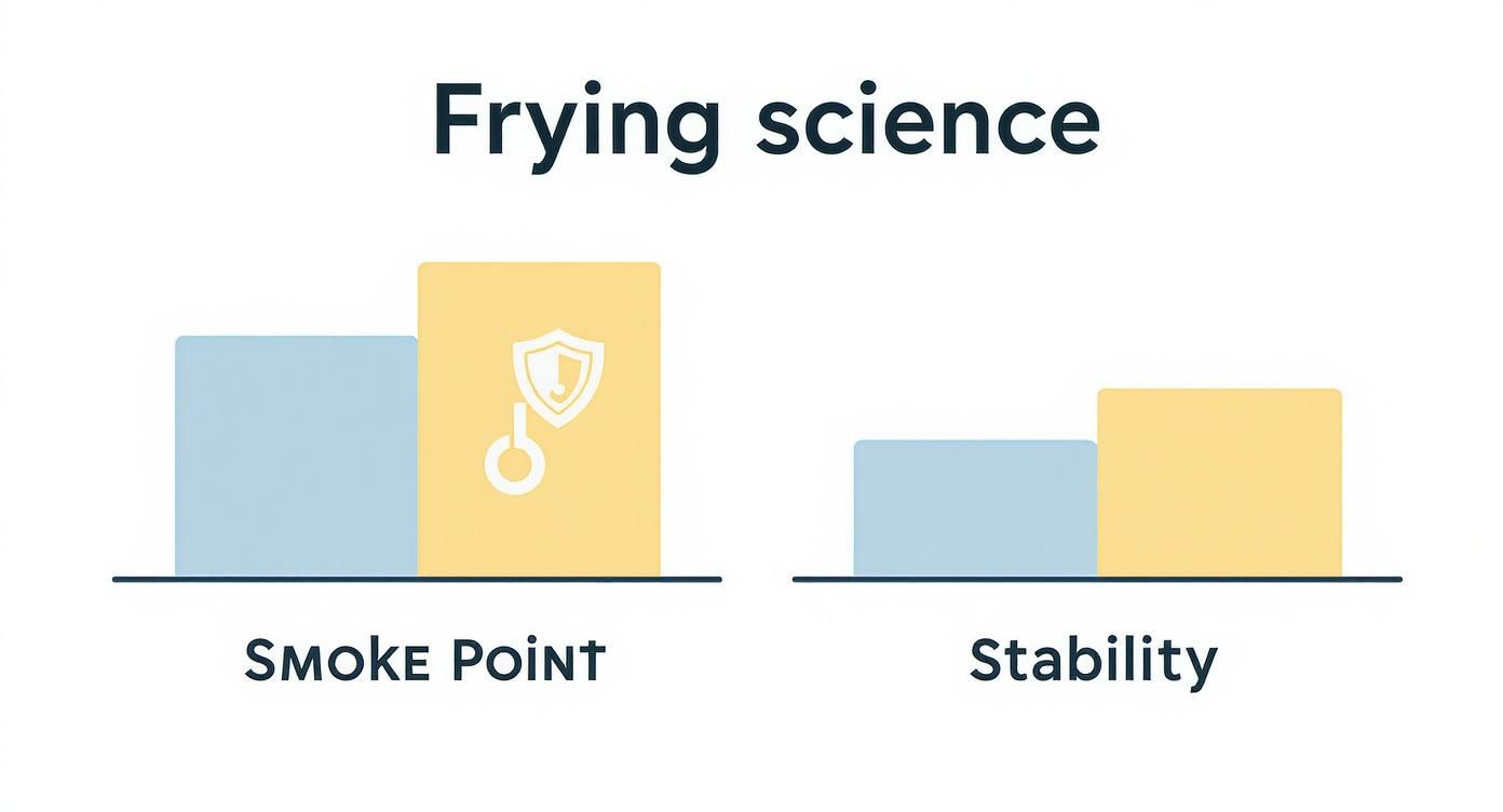 Bar charts comparing frying oil smoke point and stability, showing a yellow option superior.