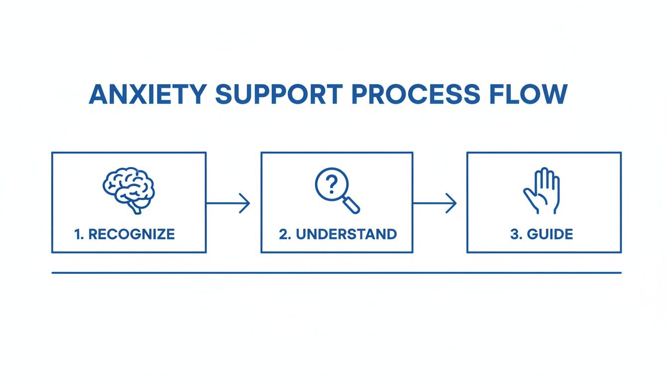 A flowchart outlining the anxiety support process: Recognize, Understand, and Guide, with corresponding icons.