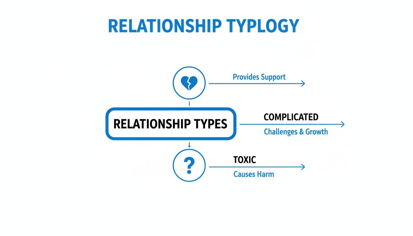 Diagram outlining relationship typology, categorizing types as supportive, complicated with challenges and growth, and toxic causing harm.