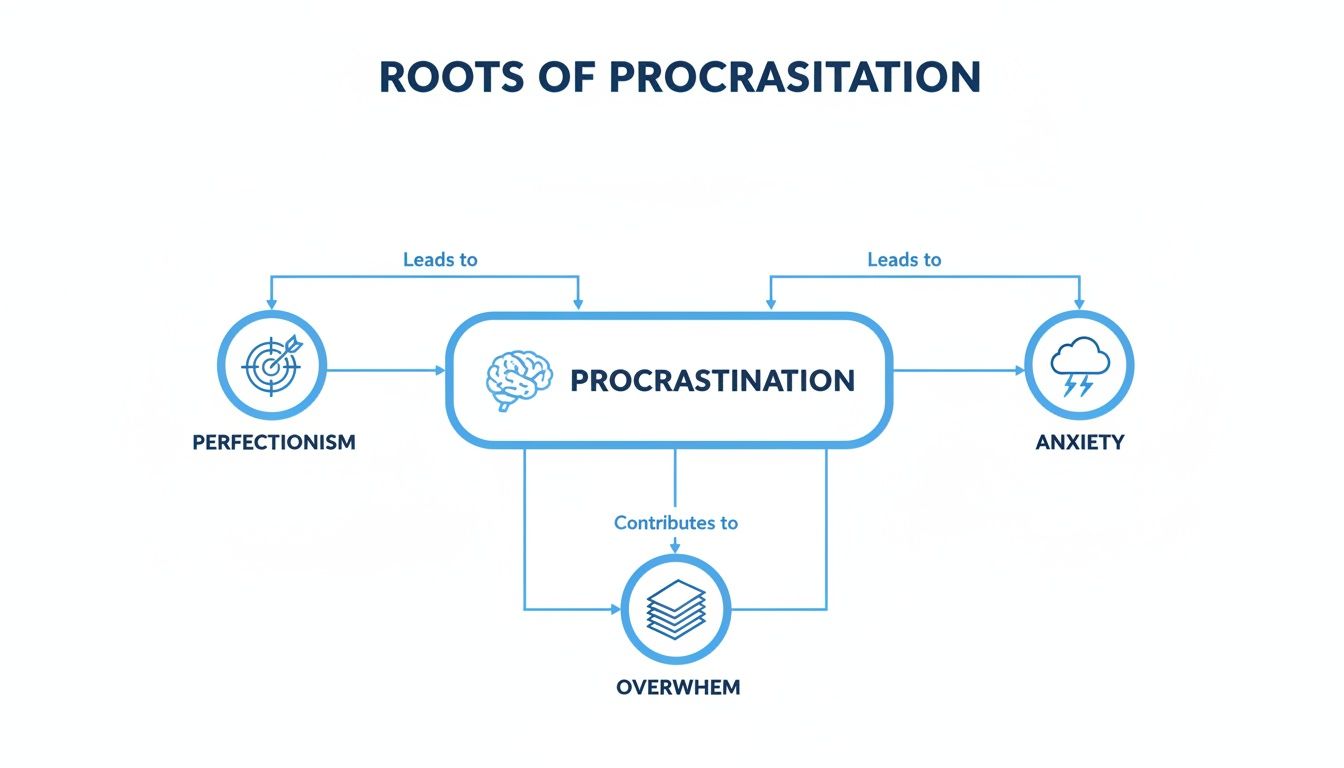 A flowchart titled 'Roots of Procrastination' showing perfectionism leading to procrastination, which causes anxiety and contributes to overwhelm.