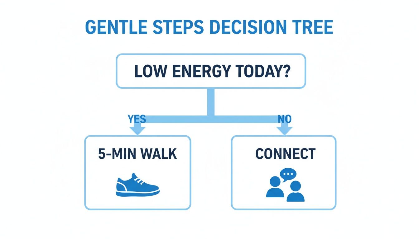 A decision tree for gentle steps: Low energy today? Yes leads to a 5-minute walk, No leads to connect.